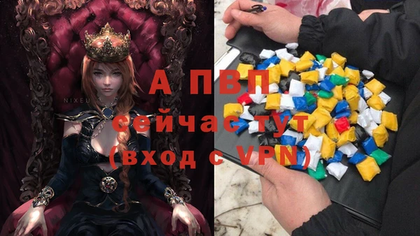прущие крисы Ладушкин