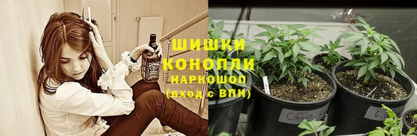 прущие крисы Ладушкин