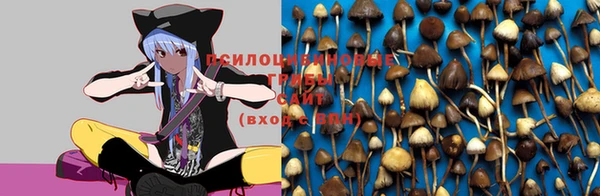 прущие крисы Ладушкин