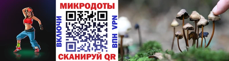 Псилоцибиновые грибы прущие грибы где можно купить наркотик Мурманск