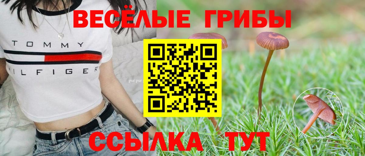 Галлюциногенные грибы мухоморы Мурманск